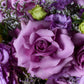 Purple Whisper