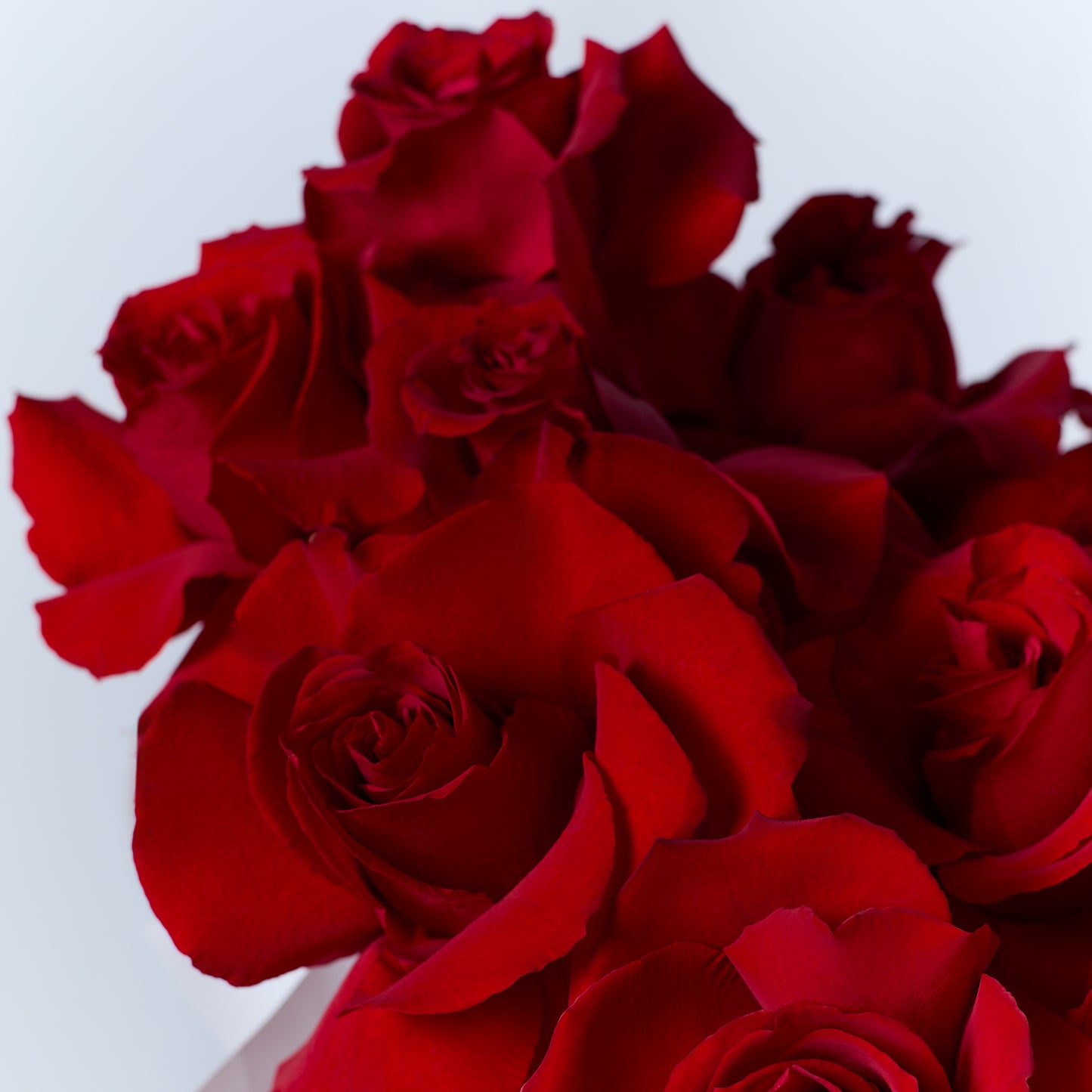 Rosy waves