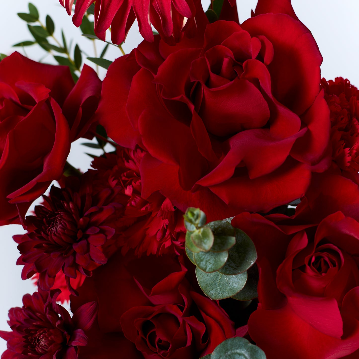 Rouge Majesté