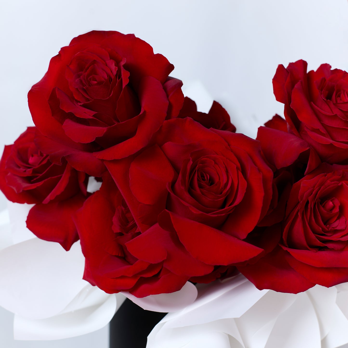 Rosy waves
