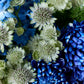 Blue Aura