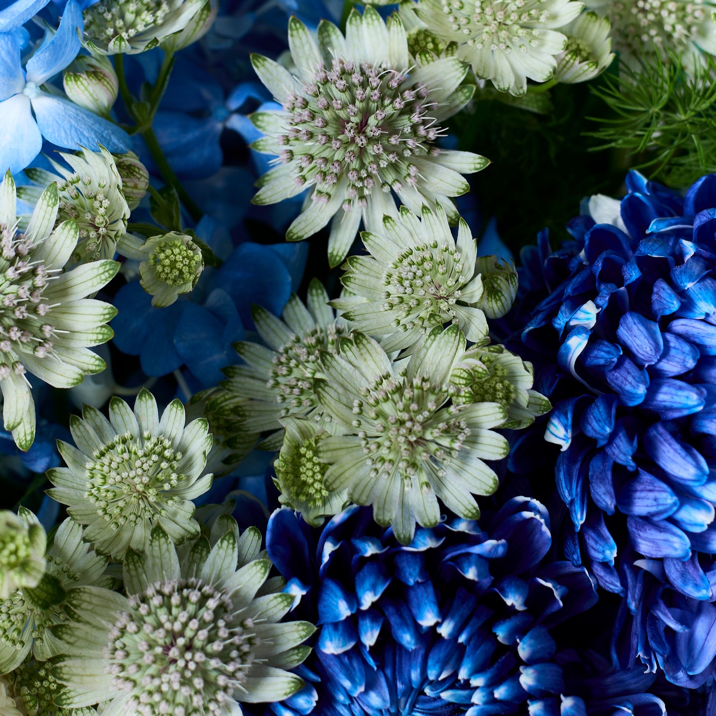 Blue Aura