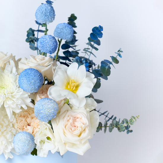 Powder Bloom