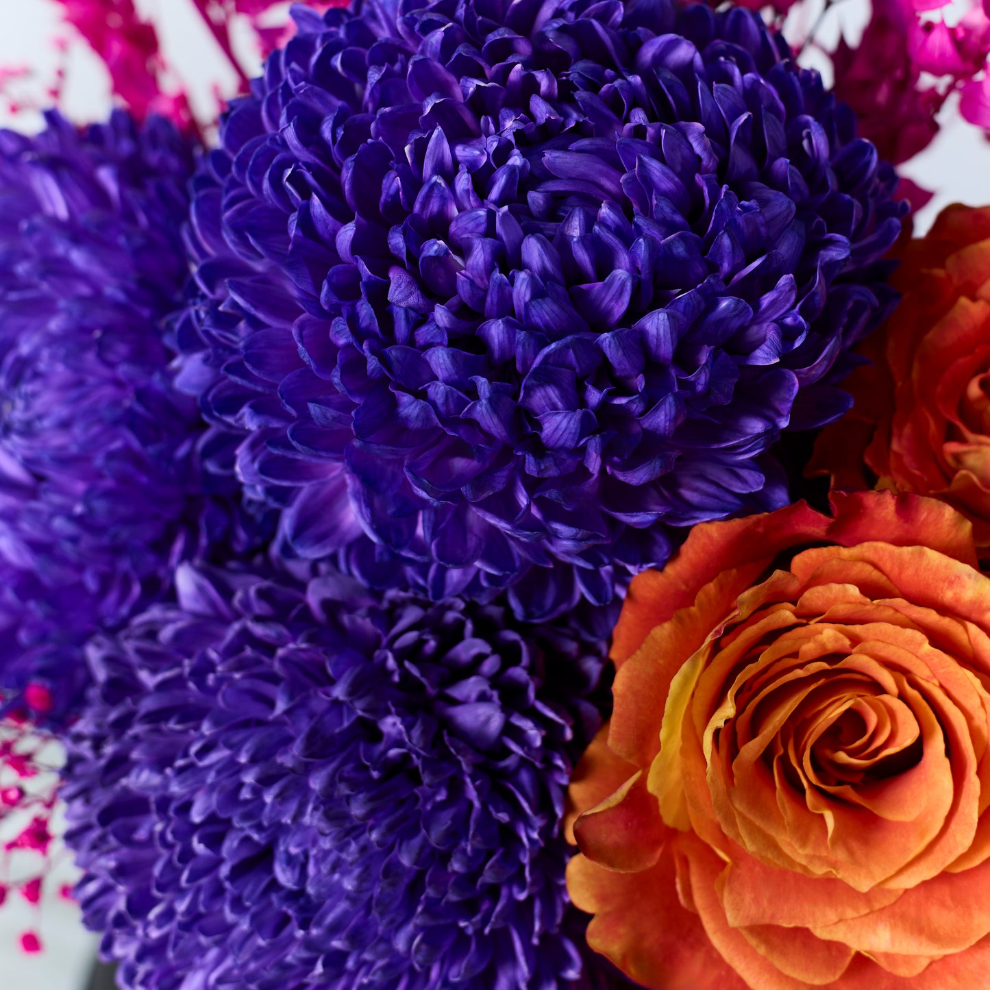 Lavender Dream