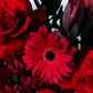 Scarlet Heat