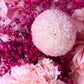 Pink Scape