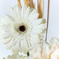 Blanc Serenity
