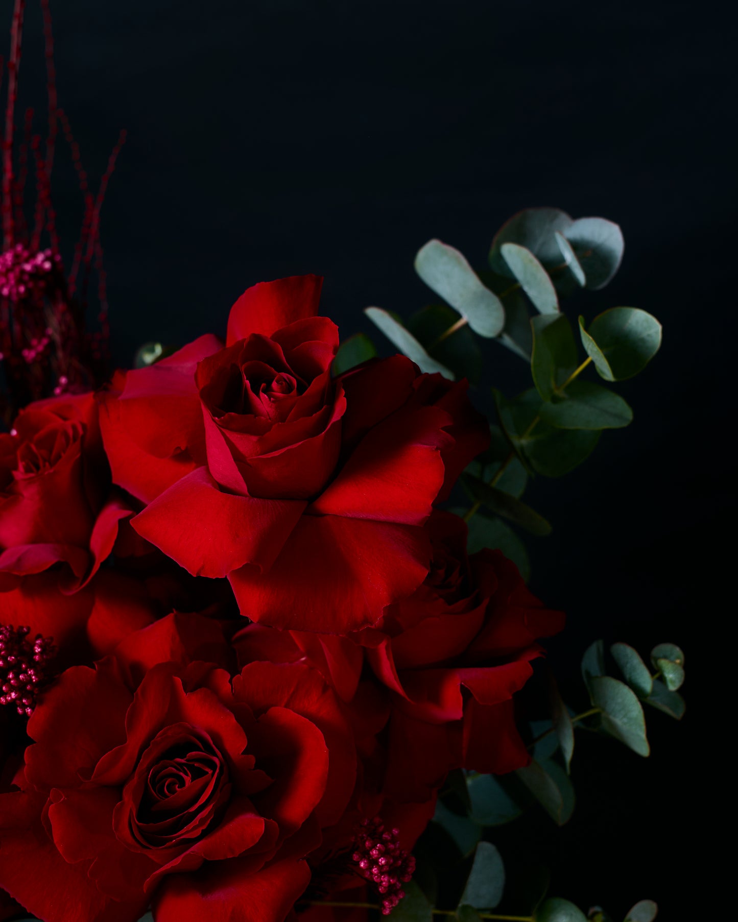 Bouquet of red roses with green leaves on a dark background