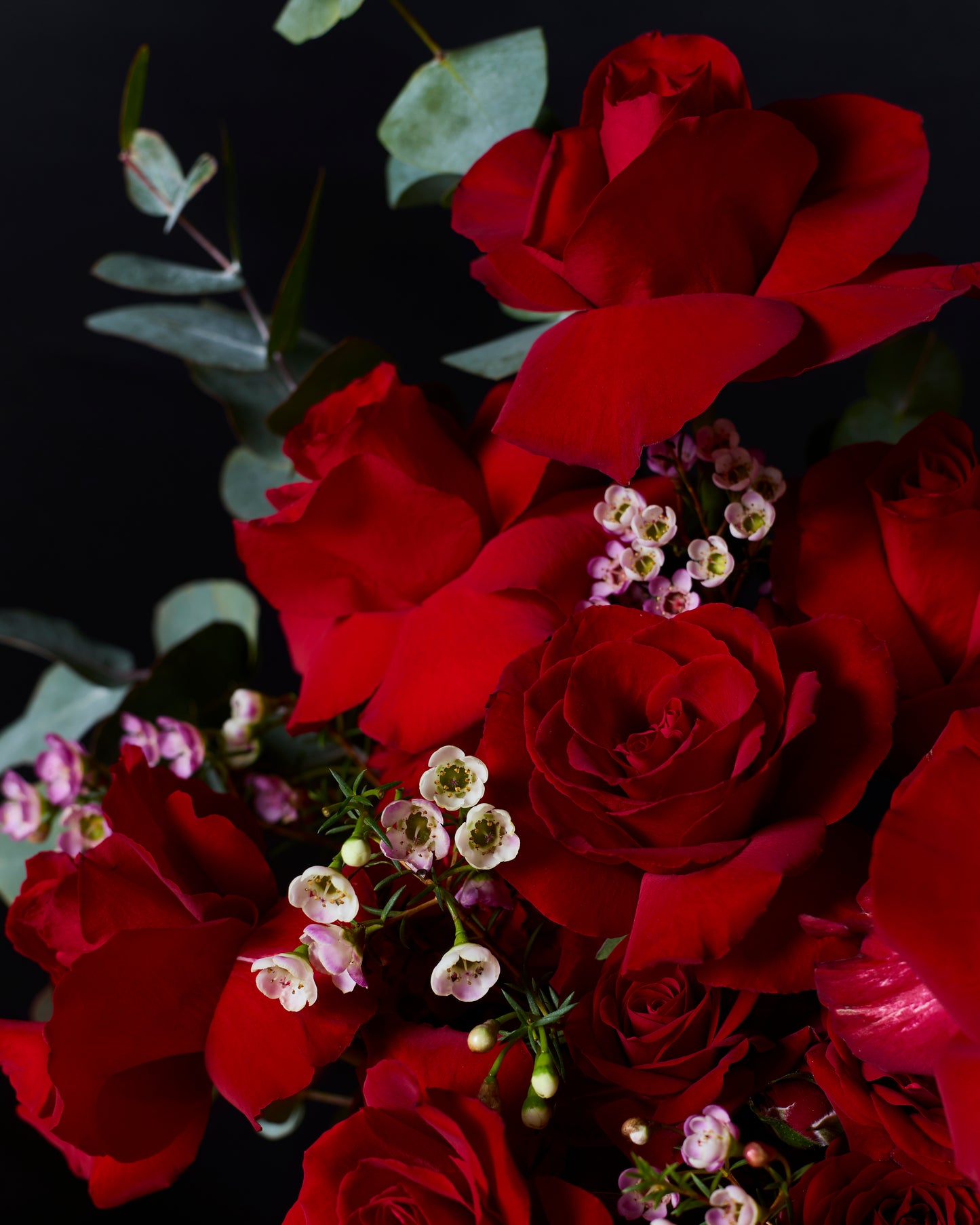 Bouquet of red roses with greenery on a dark background
