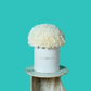 White Carnation