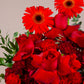 Red Allure Flower Box