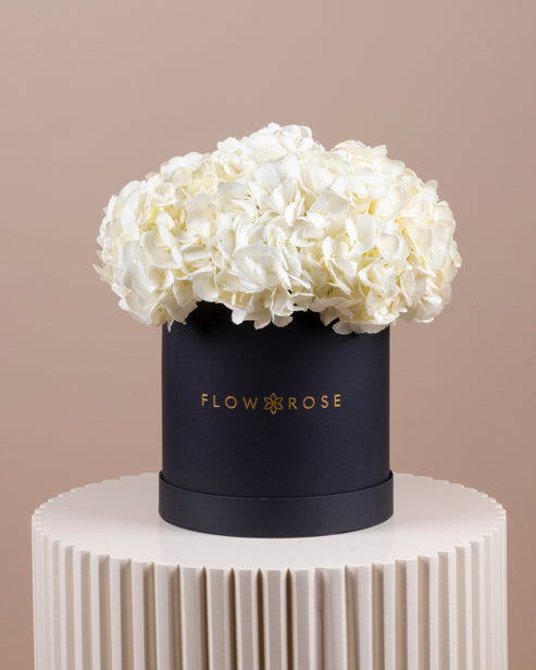 White Hydrangea Box