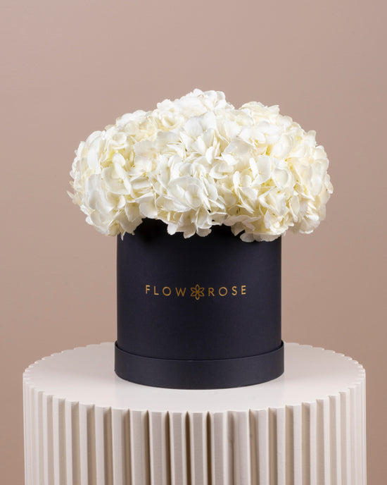White Hydrangea Box