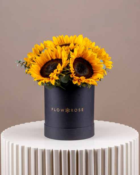 Sunflower Box