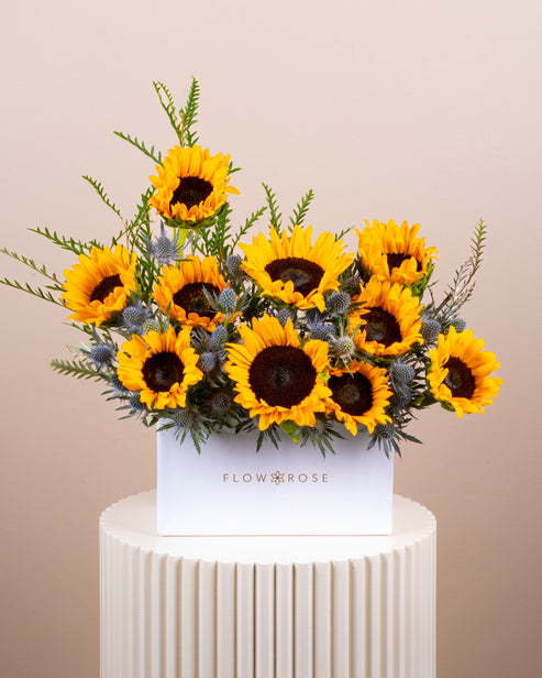 Sunny Rays Flower Box