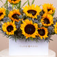 Sunny Rays Flower Box