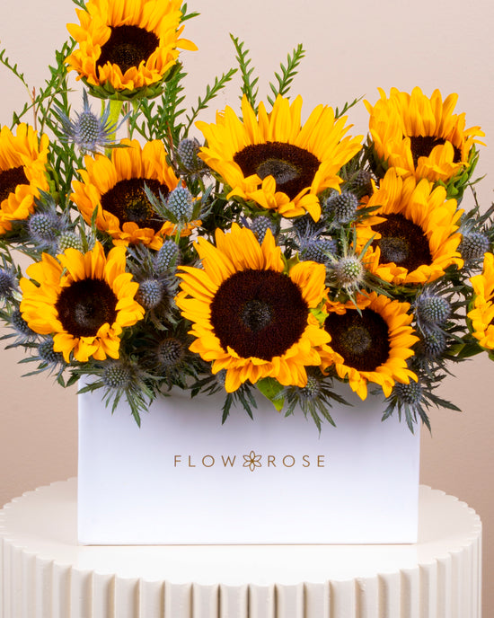 Sunny Rays Flower Box